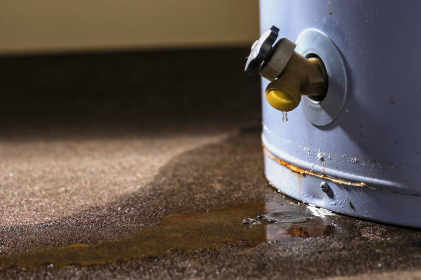 Best Water damage restoration process  in Braddock, VA