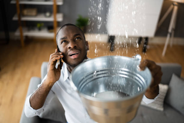 Best Sewage cleanup and water damage restoration  in Braddock, VA