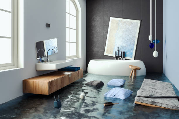 Best Sewage cleanup and water damage restoration  in Braddock, VA