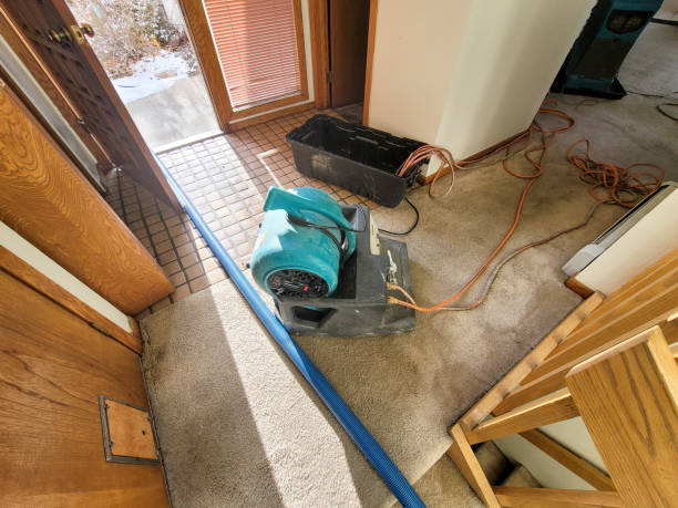 Best 24-hour water damage restoration  in Braddock, VA