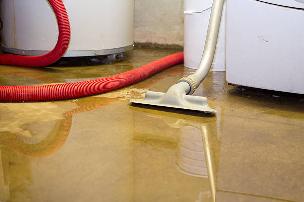 Best Sewage cleanup and water damage restoration  in Braddock, VA