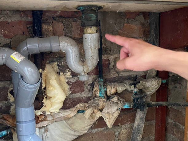 Reliable Braddock, VA Water damage restoration Solutions